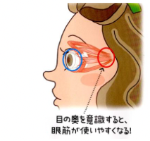 美表情塾　眼筋　