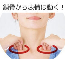 鎖骨から表情は動く